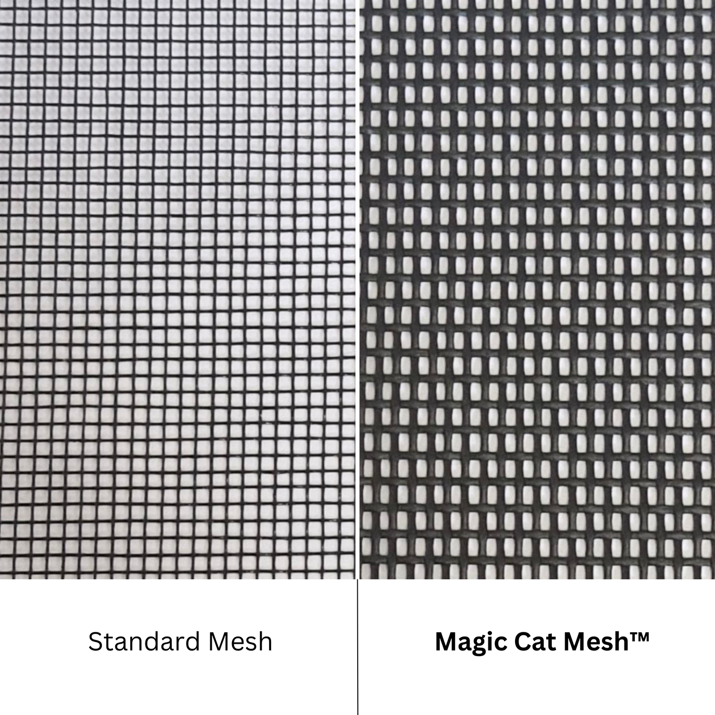 Magic Cat Mesh™